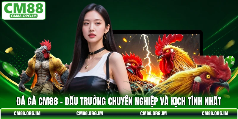 Đá Gà CM88 - Đấu Trường Chuyên Nghiệp Và Kịch Tính Nhất